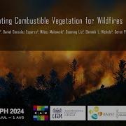 Scintilla Simulating Combustible Vegetation For Wildfires SIGGRAPH 2024