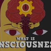 What Is Consciousness Michael S A Graziano