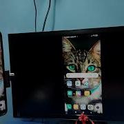 2 способа трансляции экрана на телевизоре TCL TCL Android TV Screencast