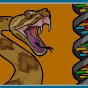 Part 2 How Does New Genetic Information Evolve Gene Duplications