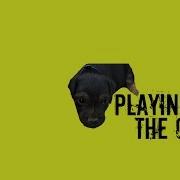 Puppy Play