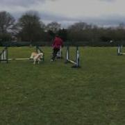 Chief Jumping Sequence 11 Months Old