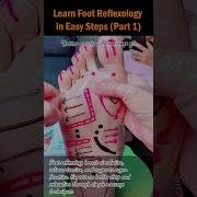 Learn Foot Reflexology In Easy Steps Part 1 Footreflexology Footmassage Stressrelief