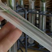 Spiralized Test Tubes And Modular Wire Rack