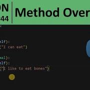 Python Tutorial 44 Method Overriding In Python Programming For Beginners