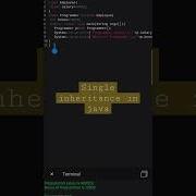 Single Inheritance In Java Programming