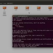 Install Java OpenJDK On Linux And Add It To Path