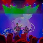 Panda Bear Never Ending Game Angel Du T Cover Song For Ariel Boulder CO 09 30 25
