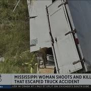 Escaped Monkey Shot And Killed By Woman In Mississippi