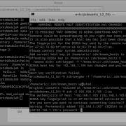 Half Success Half Fail Experiment Cross Compile Kernel Module For Raspberry Pi On Ubuntu
