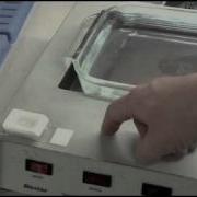 Preparing A Tissue Microarray Block For Cutting Vol 3