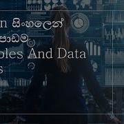 Python Tutorials 03 Variables And Data Types Sinhala Black Tiger