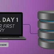 SQL For Beginners Learn To Write Your First Query SQL Basics Day 1