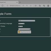 Python Flask WT Forms Demo Intro To Validation Input Required