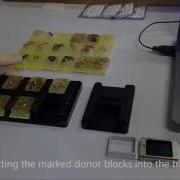 Automated Tissue Microarrayer Auto TMA