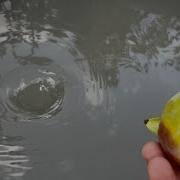 Amazing Water Vortex Experiment Whirlpool Hole Vs Things