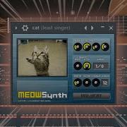Meowsynth Bossa Nova Was A Mistake