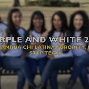 Purple White Stroll Competition 2017 Champs Pi Lambda Chi