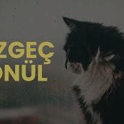 Zeynep Dizdar Vazgeç Gönül Deep Female Vocal Lo Fi EDM Cover Kedi FM Edm Cover Lofi