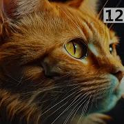 SHARPEST DETAIL 12K HDR DOLBY VISION 120FPS