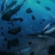 The Phoenix Fate Zero AMV