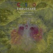 Cosmo Sheldrake Interdimensional Live In The Chapel