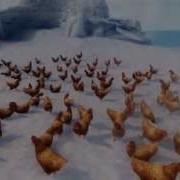 Skyrim Explosive Chickens Massacre