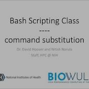 Bash Scripting Class Command Substitution