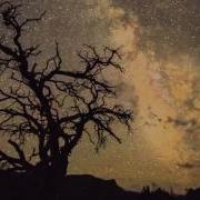Loreena McKennitt Full Circle
