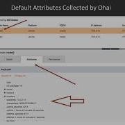 Chef Recipes Node Object And Ohai Chef Profiler Packtpub Com