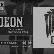 Gideon Calloused The Pulse