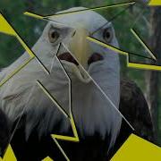 Tutorial Photoshop CS4 Broken Mirror Effect Demo