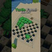 Turtle Farm