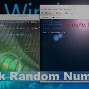 Linux Bash Shell Script To Pick A Random Number From And To Range
