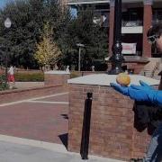 Freezing A Pumpkin With Liquid Nitrogen