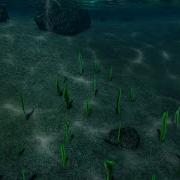 Unity URP Simple Caustics Effect Tutorial