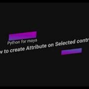How To Create Attribute On Selected Controll Python