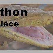 645 Python Replace Strings Substrings Method