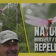 Dragonfly Inspires Canadian Bug Repellent Invention