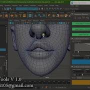 Skiner Rig Tools Script Maya