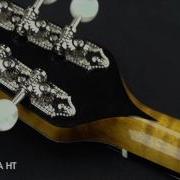 Weber Fine Acoustic Instruments Yellowstone A HT Video