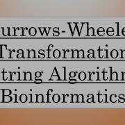 05 Pattern Matching Using BWT Burrows Wheeler Transformation String Algorithm Bangla