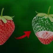 Strawberry Manipulation Make Transparent Effect Photoshop Tutorial
