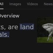 DUMBEST AI RESPONSES Best Of 2025 2026