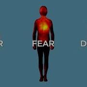 Science Bulletins Mapping Emotions In The Body