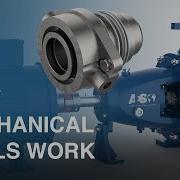 How Mechanical Seals Work Stuffing Box Packing