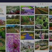04 Adding Lazy Loading Along With Masonry In Php Photo Gallery