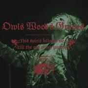 Owls Woods Graves This Spirit Follows Me Ghouls Make Your Deathbed LIVE