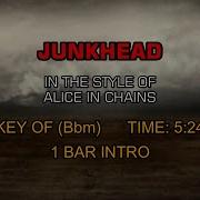 Alice In Chains Junkhead Karaoke