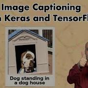 Image Captioning With Keras And TensorFlow 10 4